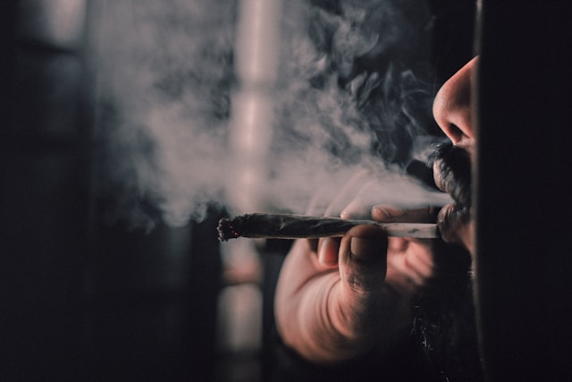 All-natural Smoking Cones: Elevating Your Smoking Experience