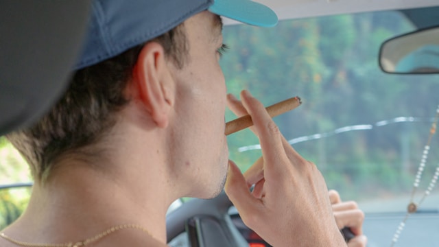 Botanical Smoking Wraps Crafted for Purity: Elevate Your Herbal Experience