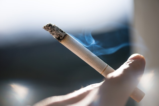 Eco-Friendly and Biodegradable Smoking Options: Sustainable Choices for Smokers