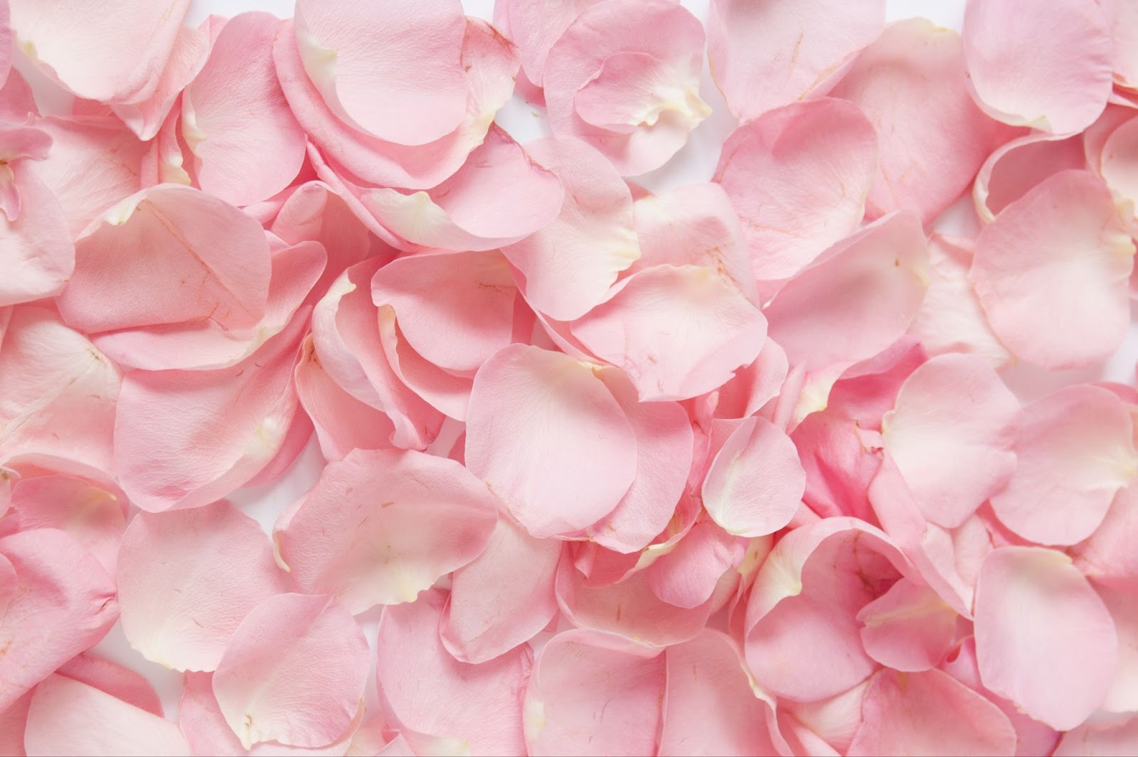 Rolling Joints with Rose Petals: Is It Safe?
